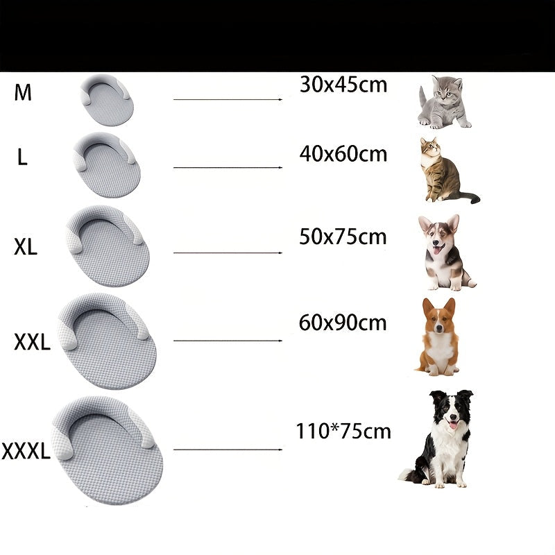description_selected4