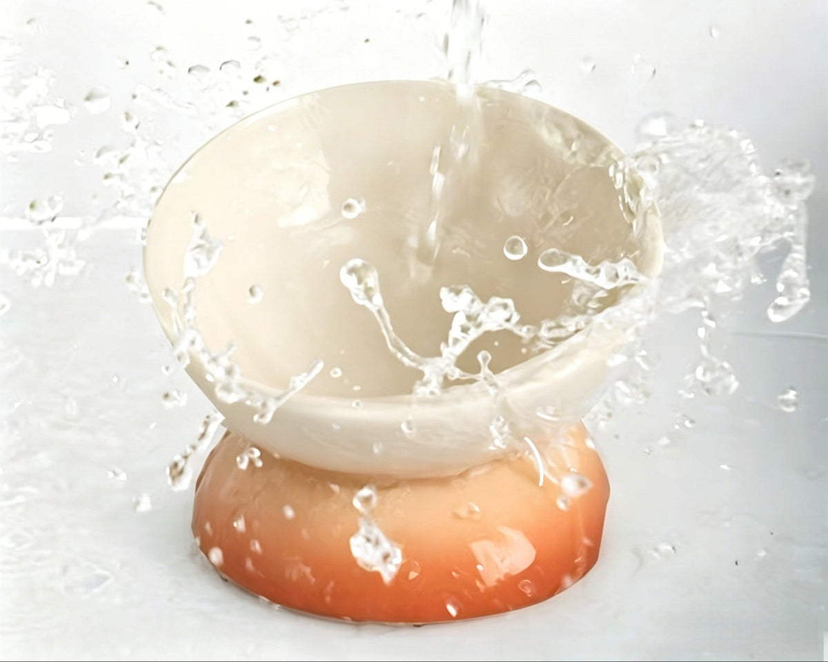 description_selected4