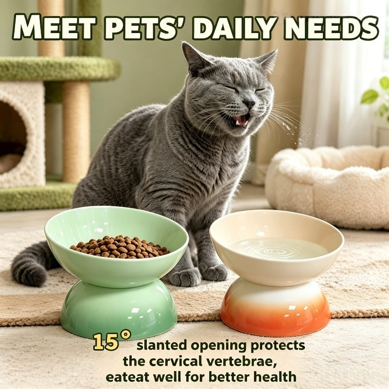 2 Gamelles surleves pour chat avec inclinaison de 15  Gamelles de repas surleves renversement pour animaux de compagnie Combinaison de couleurs bicolores de qualit suprieure Conception de soutien cervical et spinal Dtachables Base large anti